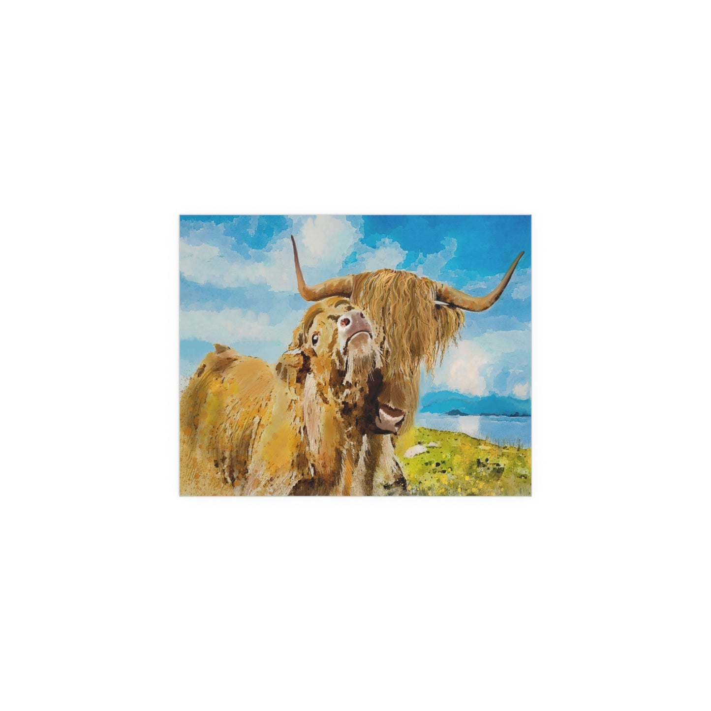 Best Highland Calf