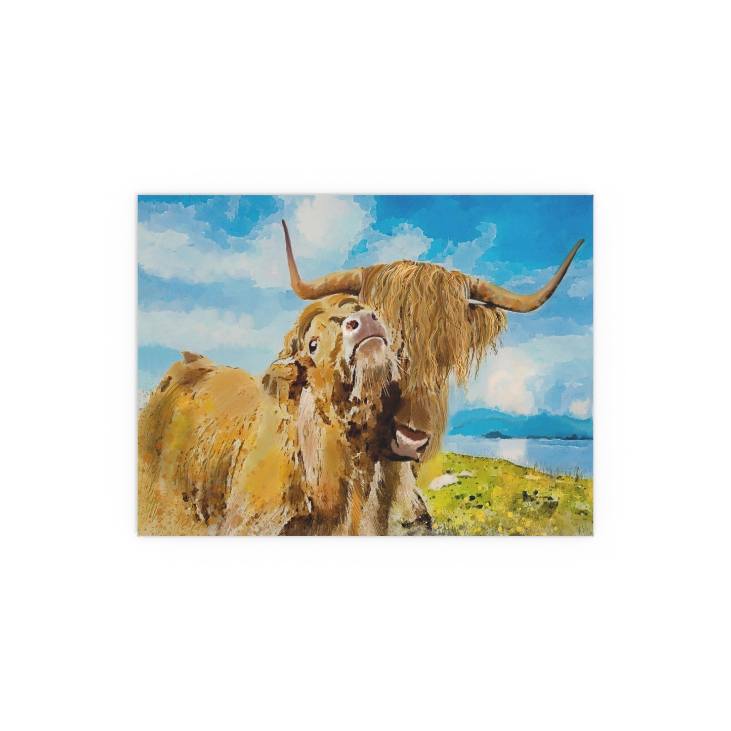 Highland cattle